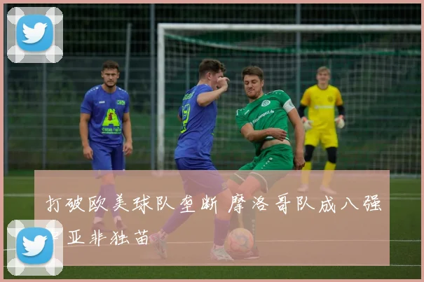 打破欧美球队垄断 摩洛哥队成八强中亚非独苗