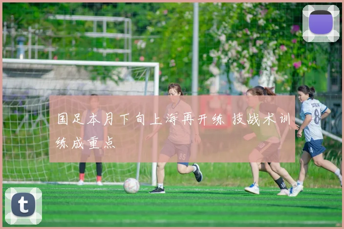 国足本月下旬上海再开练 技战术训练成重点