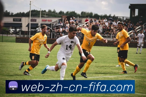 世界杯中文官方网站服务体系